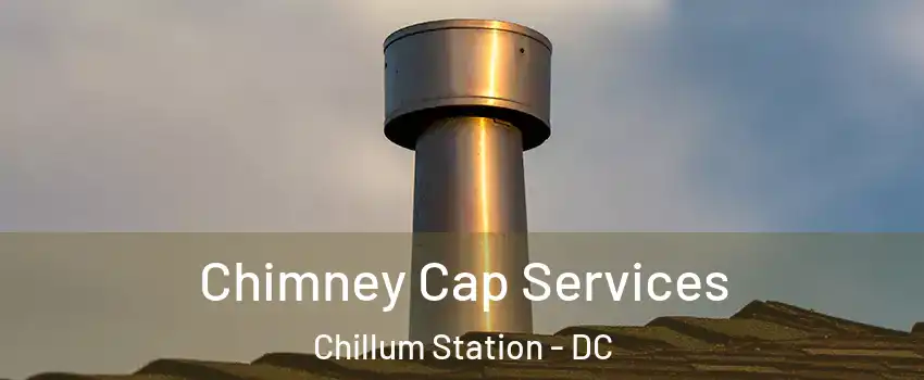 Chimney Cap Services Chillum Station - DC