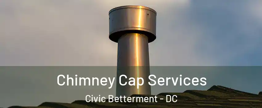 Chimney Cap Services Civic Betterment - DC