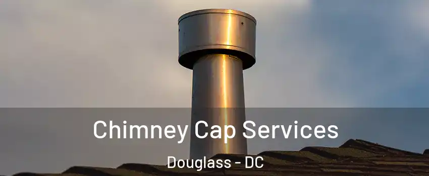 Chimney Cap Services Douglass - DC