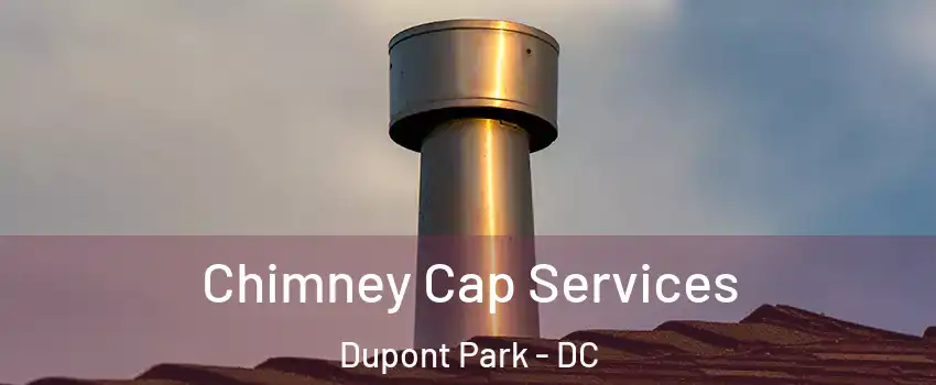 Chimney Cap Services Dupont Park - DC