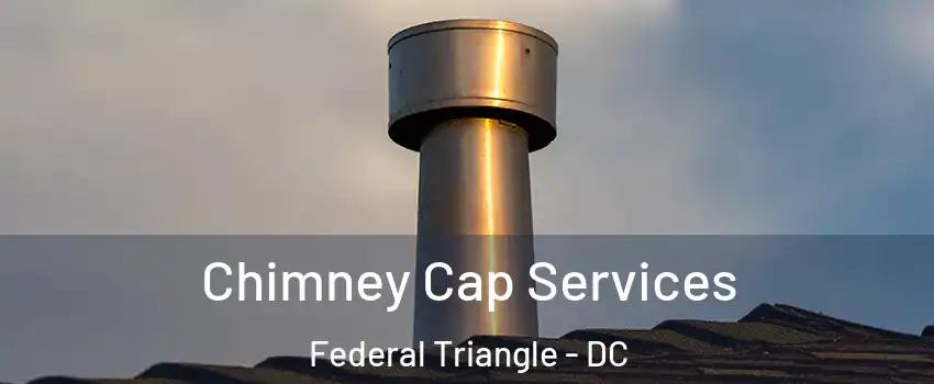 Chimney Cap Services Federal Triangle - DC