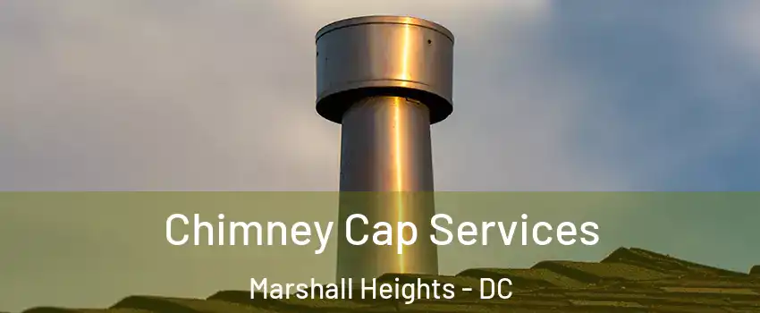 Chimney Cap Services Marshall Heights - DC