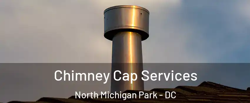 Chimney Cap Services North Michigan Park - DC