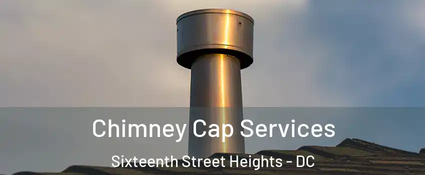 Chimney Cap Services Sixteenth Street Heights - DC