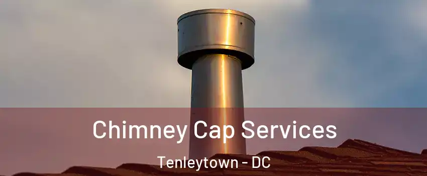 Chimney Cap Services Tenleytown - DC