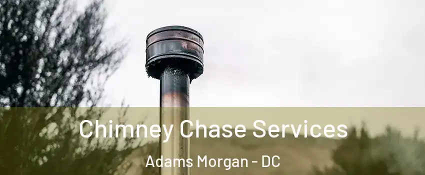 Chimney Chase Services Adams Morgan - DC