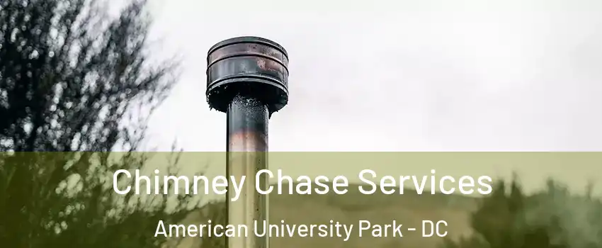 Chimney Chase Services American University Park - DC