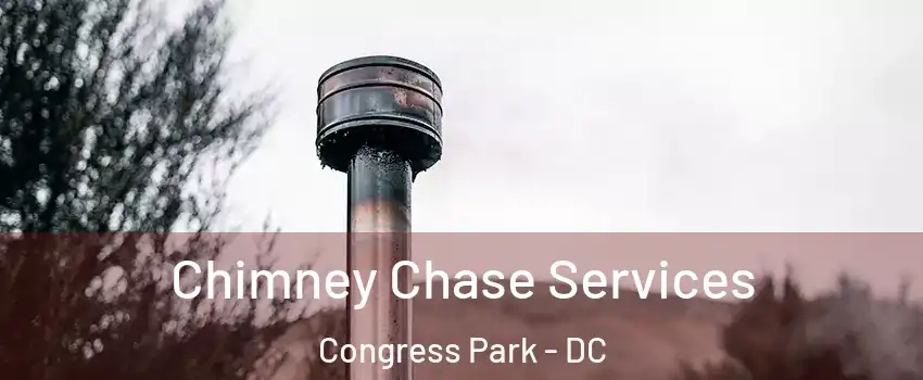 Chimney Chase Services Congress Park - DC