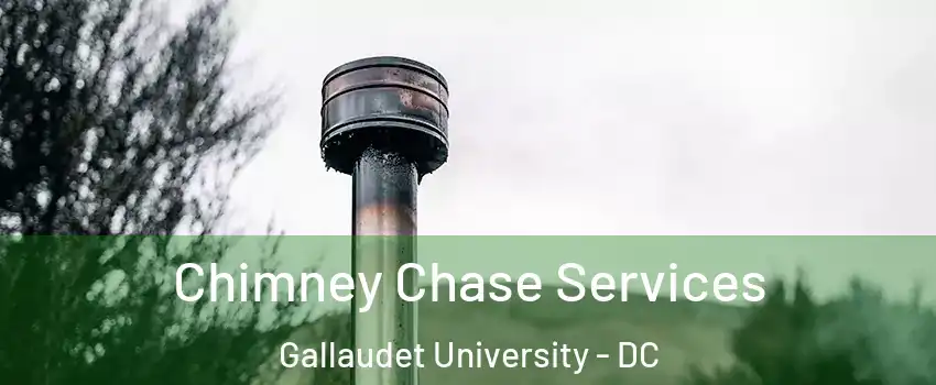 Chimney Chase Services Gallaudet University - DC