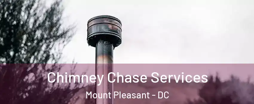 Chimney Chase Services Mount Pleasant - DC