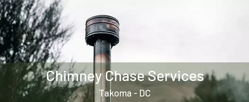 Chimney Chase Services Takoma - DC