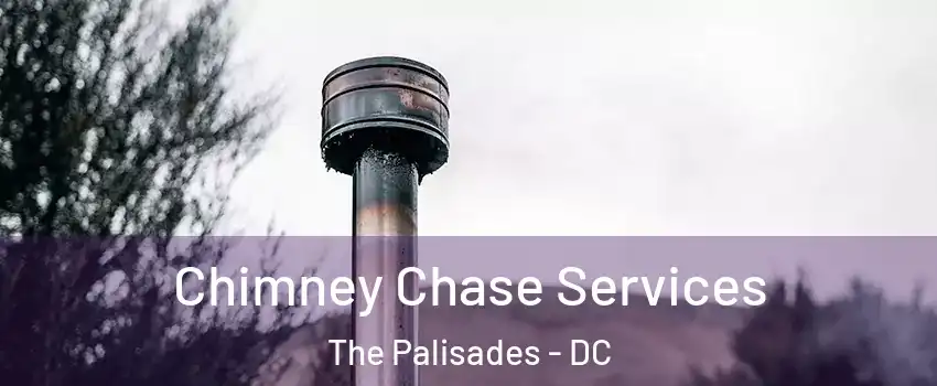 Chimney Chase Services The Palisades - DC