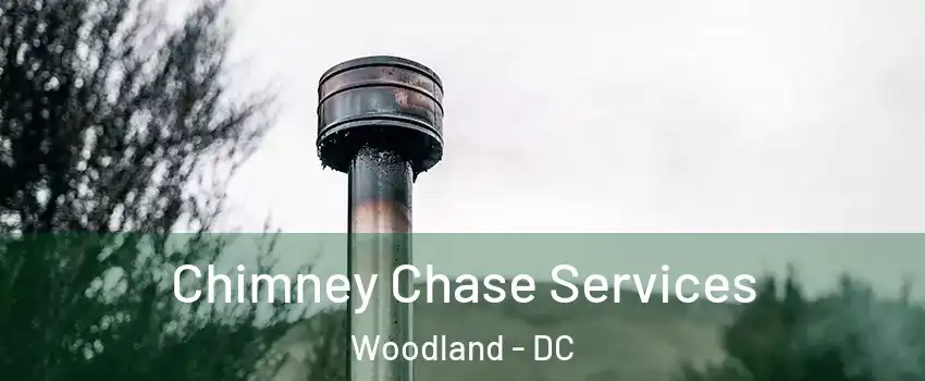 Chimney Chase Services Woodland - DC