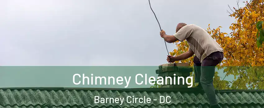 Chimney Cleaning Barney Circle - DC