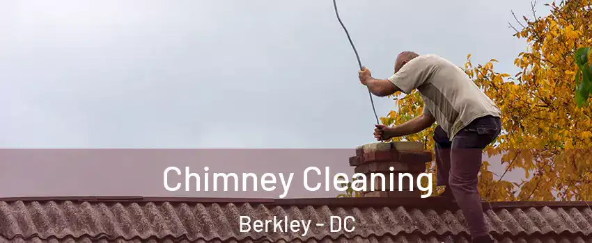 Chimney Cleaning Berkley - DC