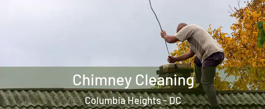 Chimney Cleaning Columbia Heights - DC