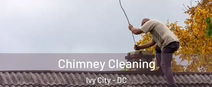 Chimney Cleaning Ivy City - DC