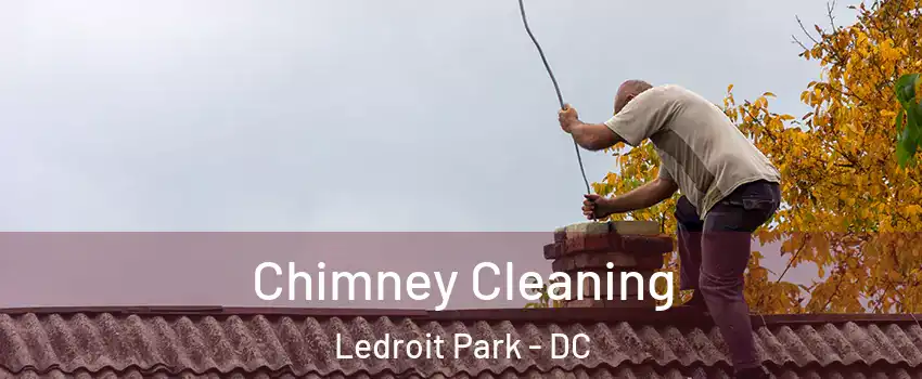 Chimney Cleaning Ledroit Park - DC