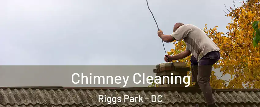 Chimney Cleaning Riggs Park - DC