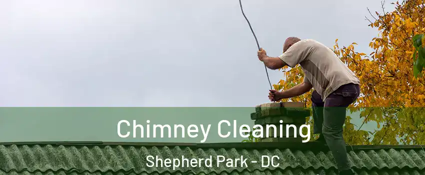 Chimney Cleaning Shepherd Park - DC