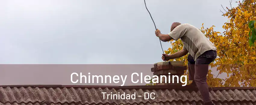 Chimney Cleaning Trinidad - DC