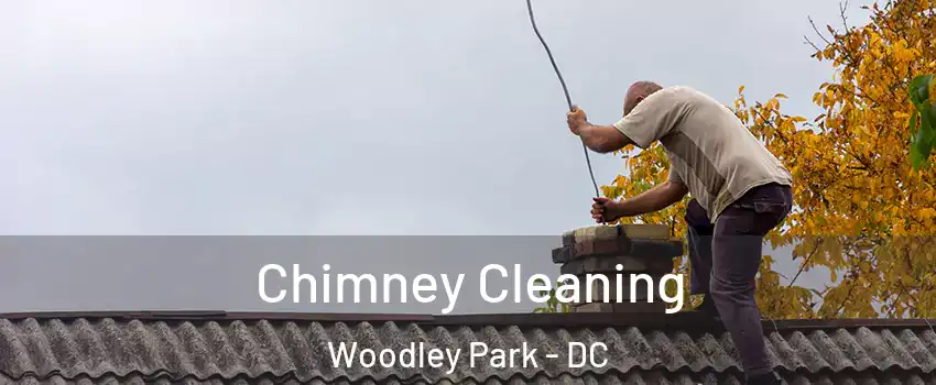 Chimney Cleaning Woodley Park - DC