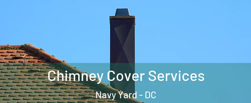 Chimney Cover Services Navy Yard - DC