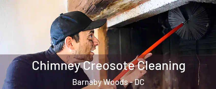 Chimney Creosote Cleaning Barnaby Woods - DC