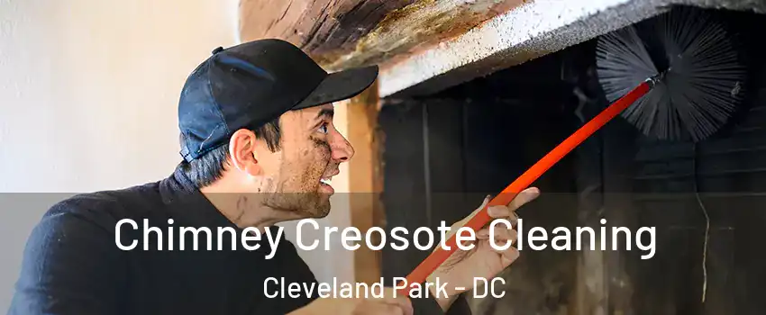 Chimney Creosote Cleaning Cleveland Park - DC