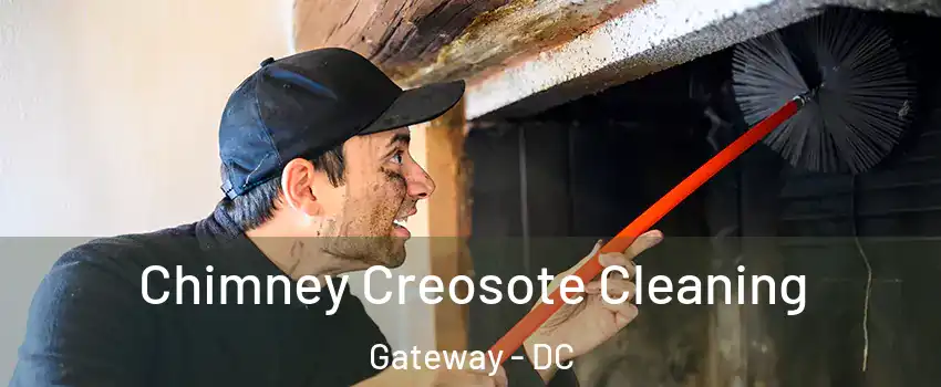 Chimney Creosote Cleaning Gateway - DC