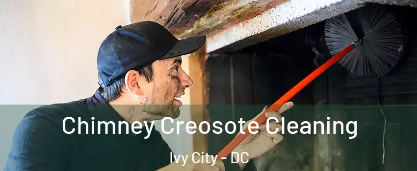 Chimney Creosote Cleaning Ivy City - DC