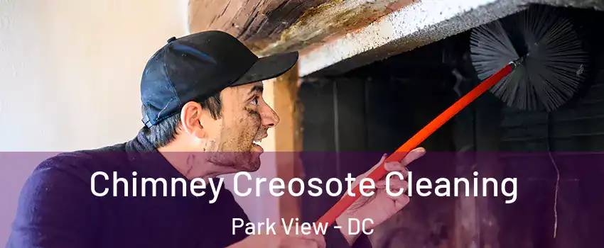 Chimney Creosote Cleaning Park View - DC