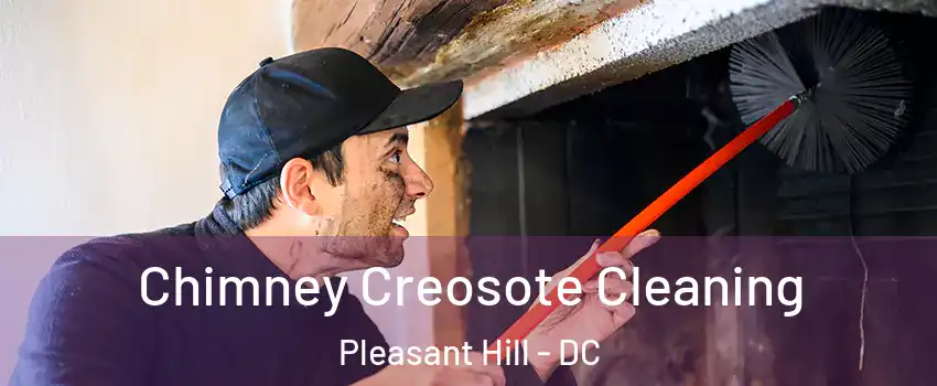 Chimney Creosote Cleaning Pleasant Hill - DC