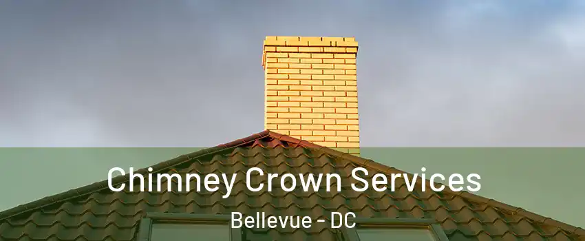 Chimney Crown Services Bellevue - DC