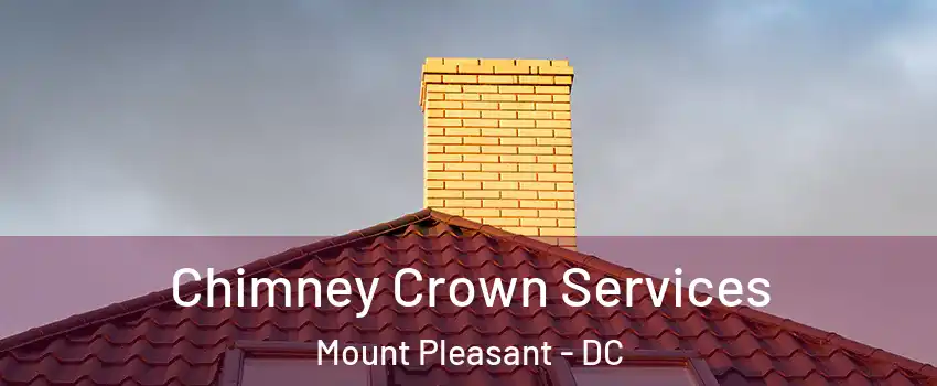 Chimney Crown Services Mount Pleasant - DC