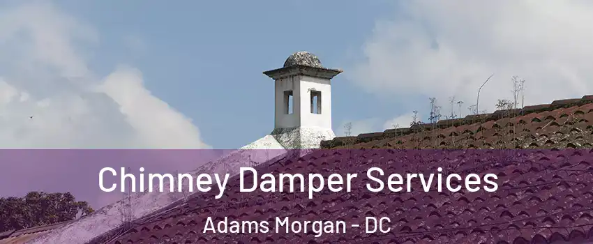 Chimney Damper Services Adams Morgan - DC