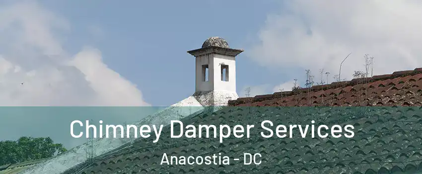 Chimney Damper Services Anacostia - DC