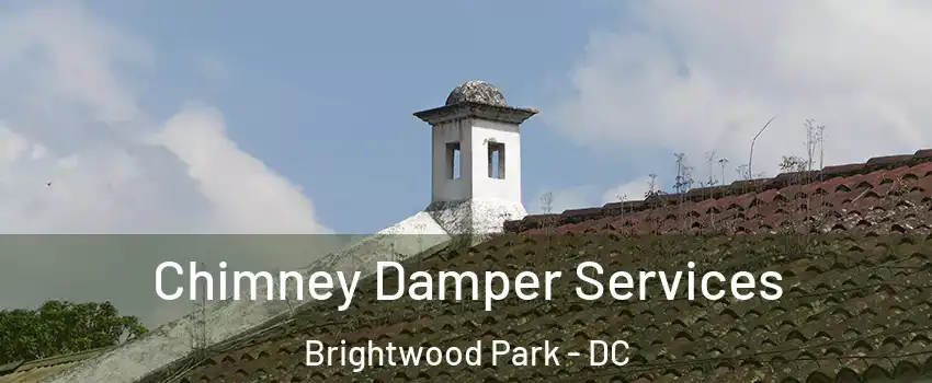 Chimney Damper Services Brightwood Park - DC