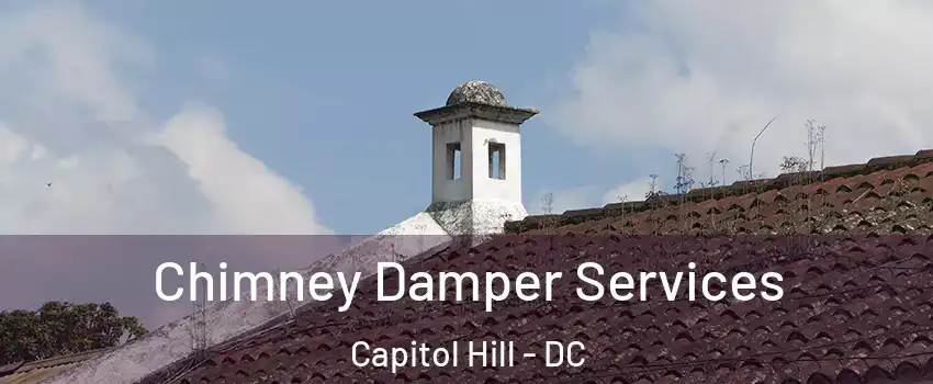 Chimney Damper Services Capitol Hill - DC