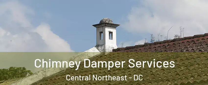 Chimney Damper Services Central Northeast - DC