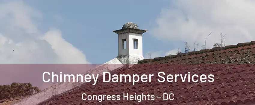 Chimney Damper Services Congress Heights - DC