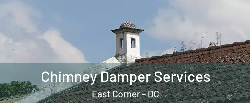 Chimney Damper Services East Corner - DC