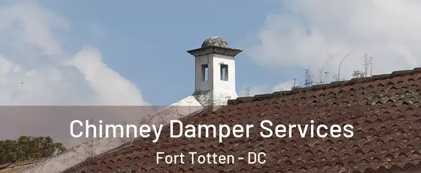 Chimney Damper Services Fort Totten - DC