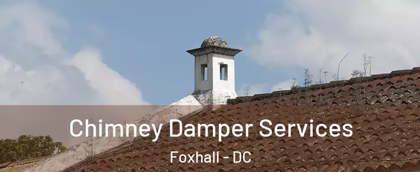 Chimney Damper Services Foxhall - DC