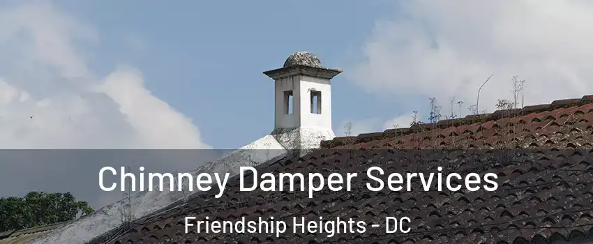 Chimney Damper Services Friendship Heights - DC