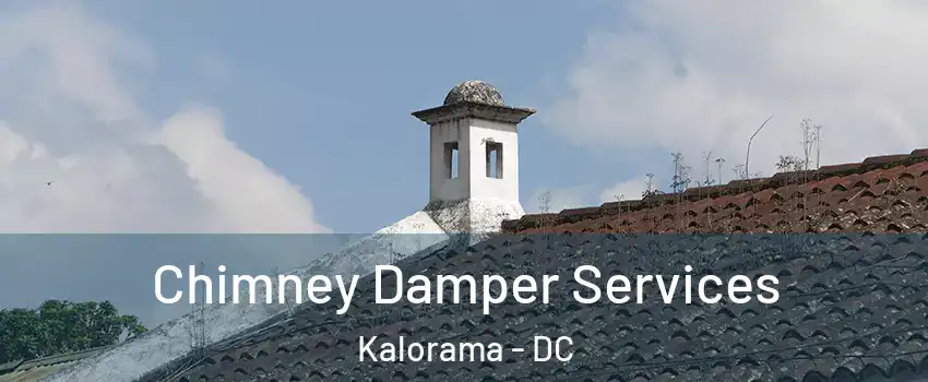 Chimney Damper Services Kalorama - DC