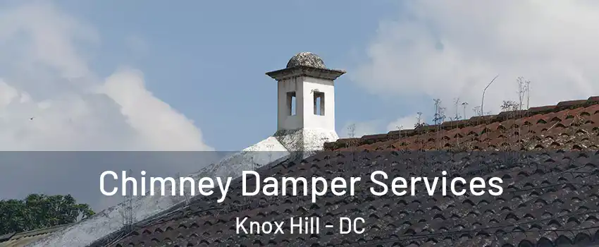 Chimney Damper Services Knox Hill - DC