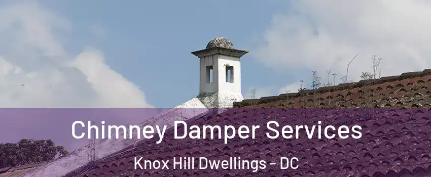 Chimney Damper Services Knox Hill Dwellings - DC