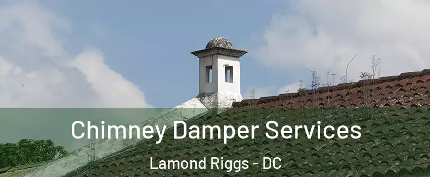 Chimney Damper Services Lamond Riggs - DC