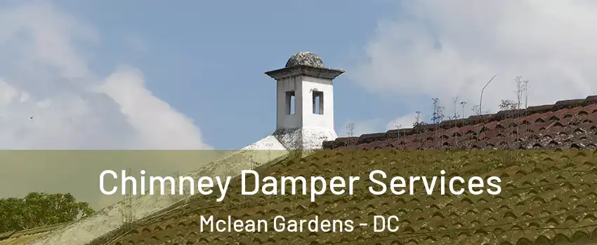 Chimney Damper Services Mclean Gardens - DC